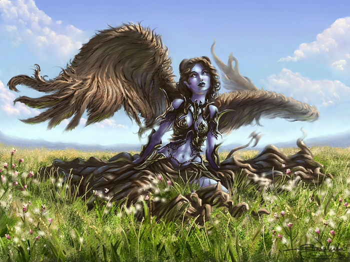 A Shadow in the Meadow